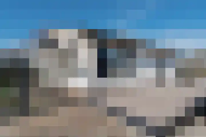 Vennemeer 15 Oud Ade thumbnail 6