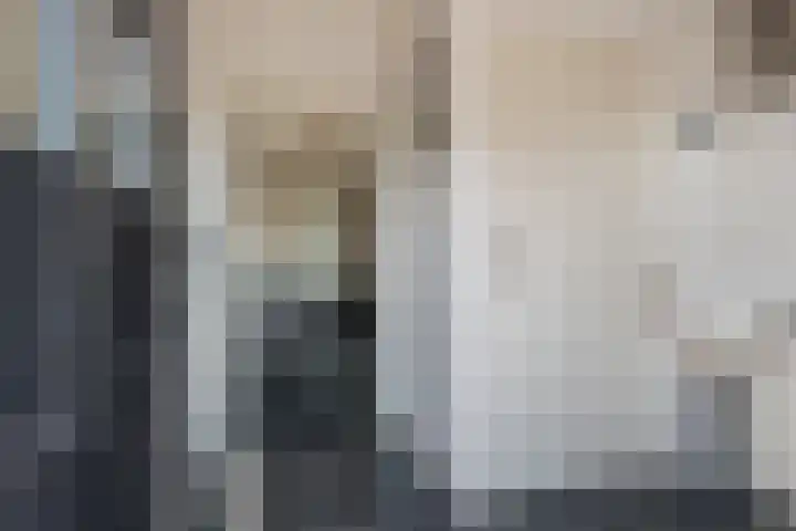 Vennemeer 15 Oud Ade thumbnail 8