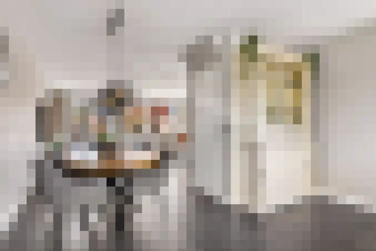 Vennemeerstraat 5 Almere thumbnail 8