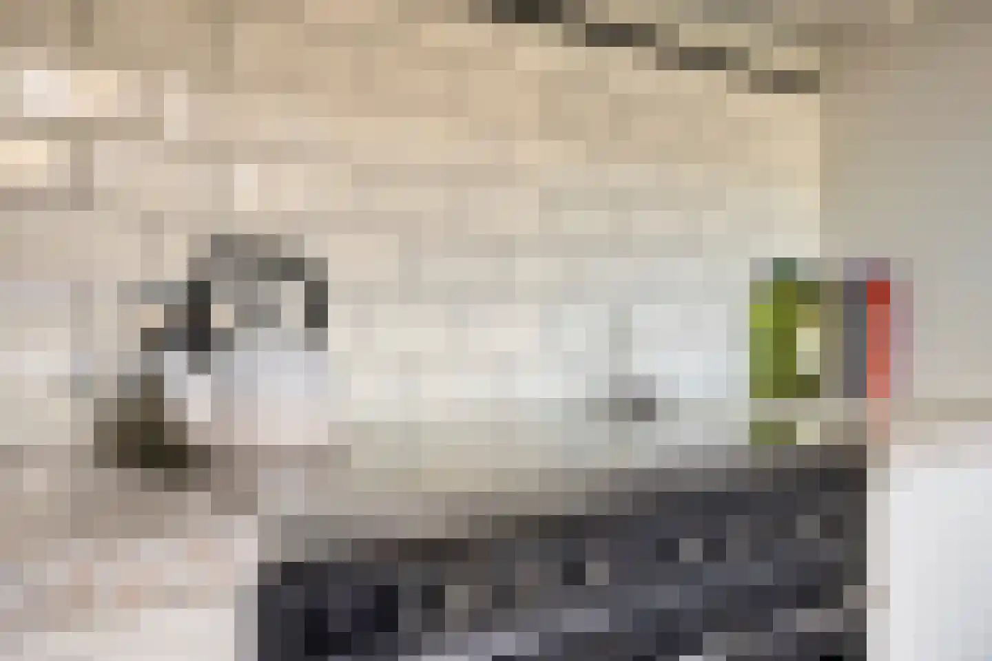 Vennen 17 Dongen thumbnail 20