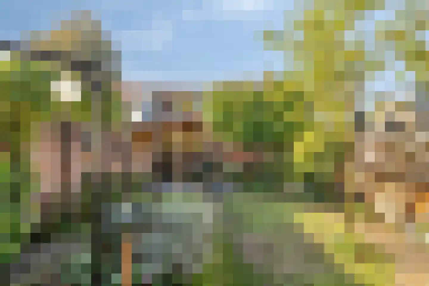 Vennen 17 Dongen thumbnail 37