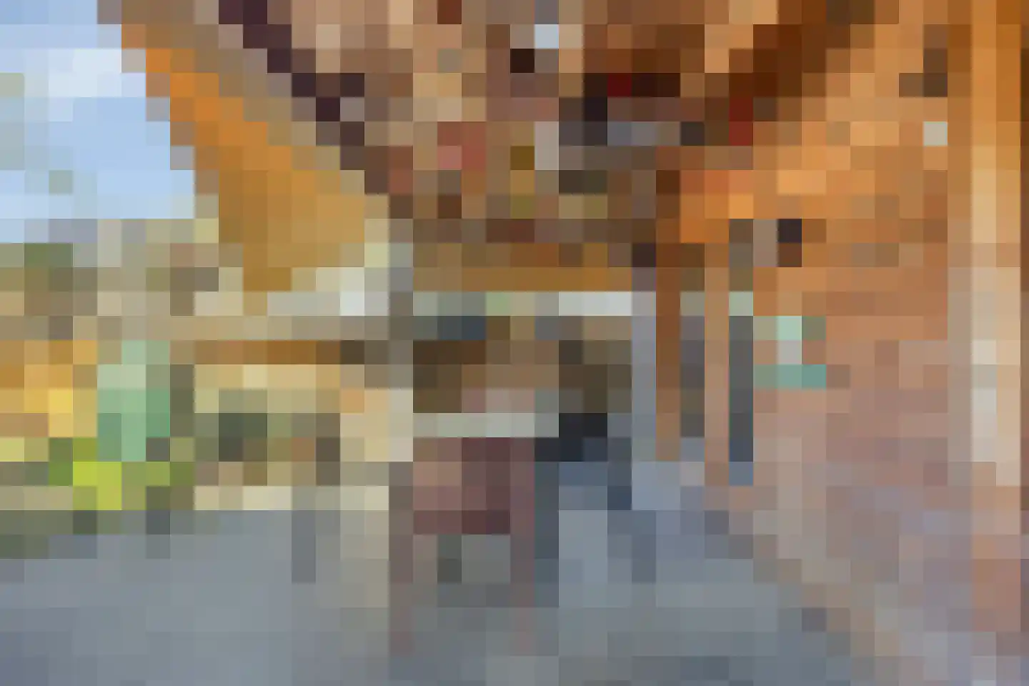 Vennen 17 Dongen thumbnail 39