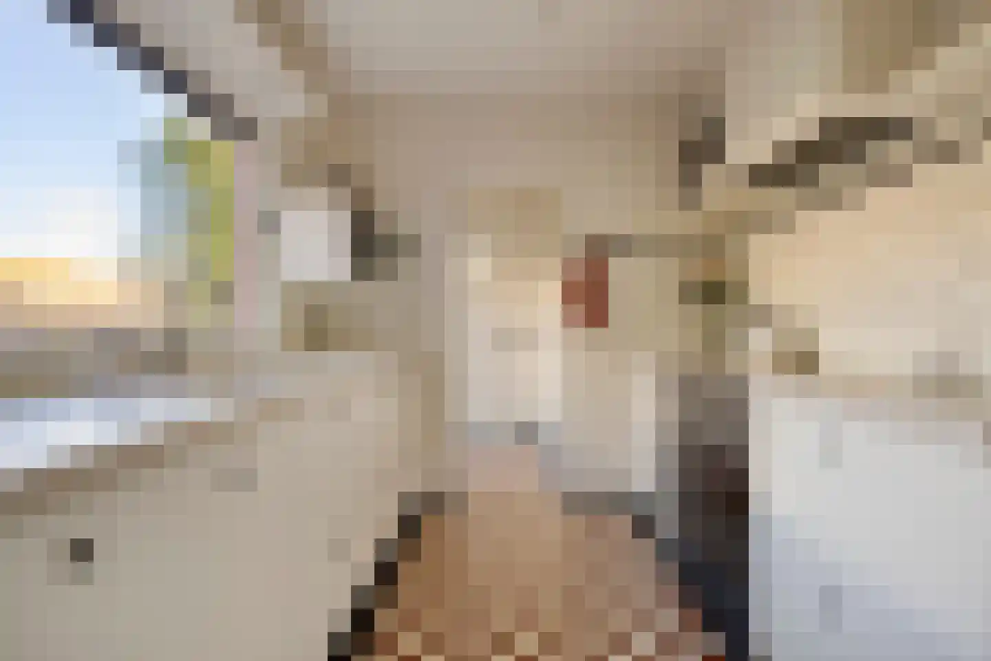 Vennen 17 Dongen thumbnail 4