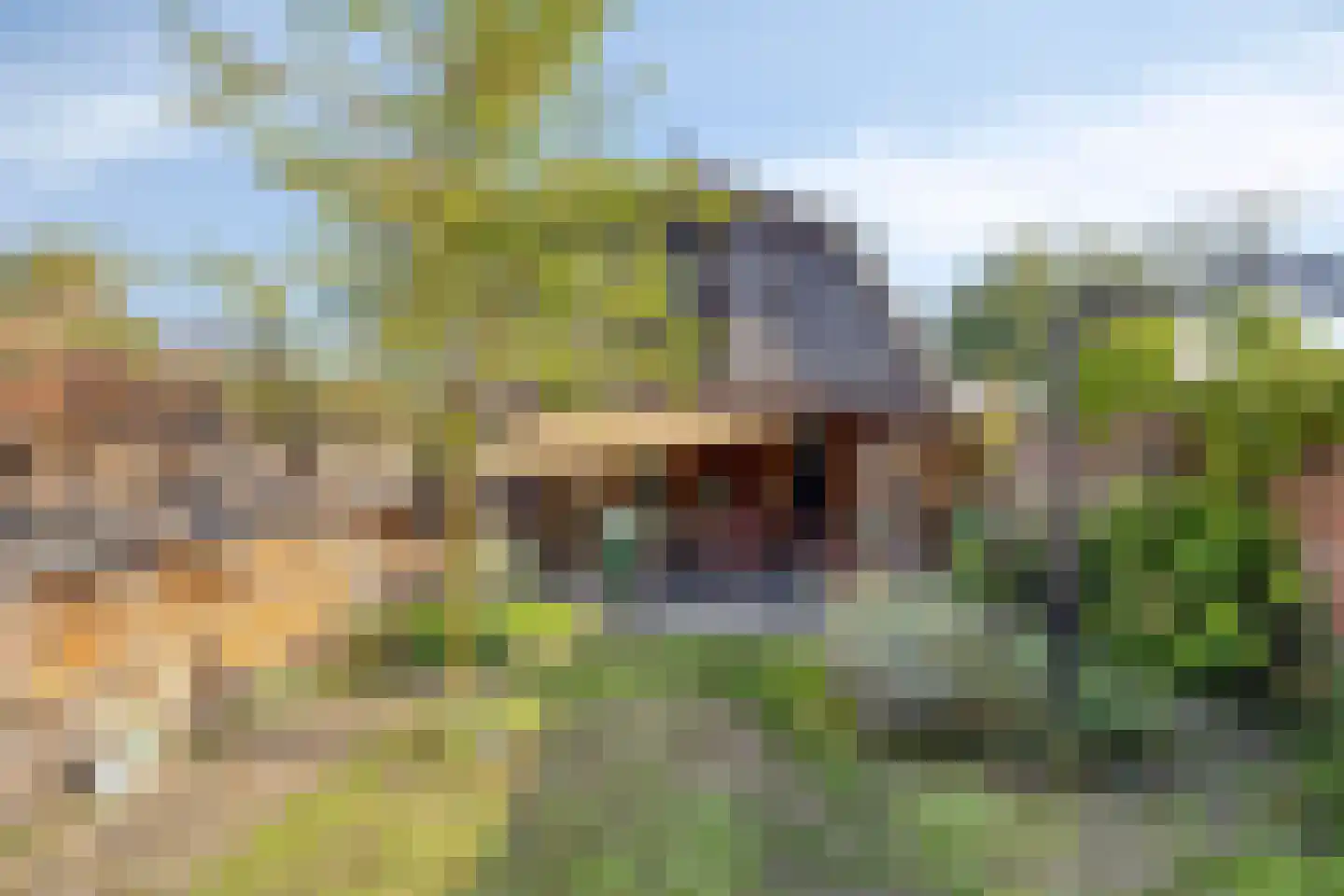 Vennen 17 Dongen thumbnail 7