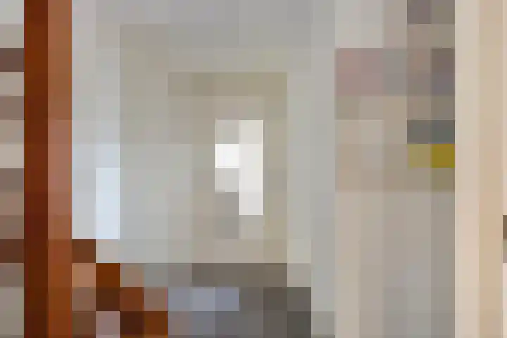 Vennen 31 Dongen thumbnail 10