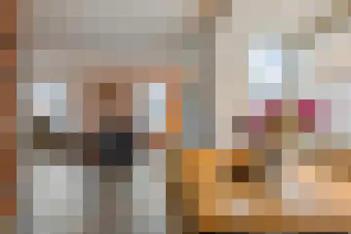 Vennen 31 Dongen thumbnail 17
