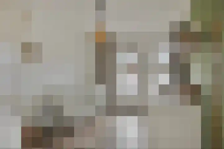 Vennen 31 Dongen thumbnail 30