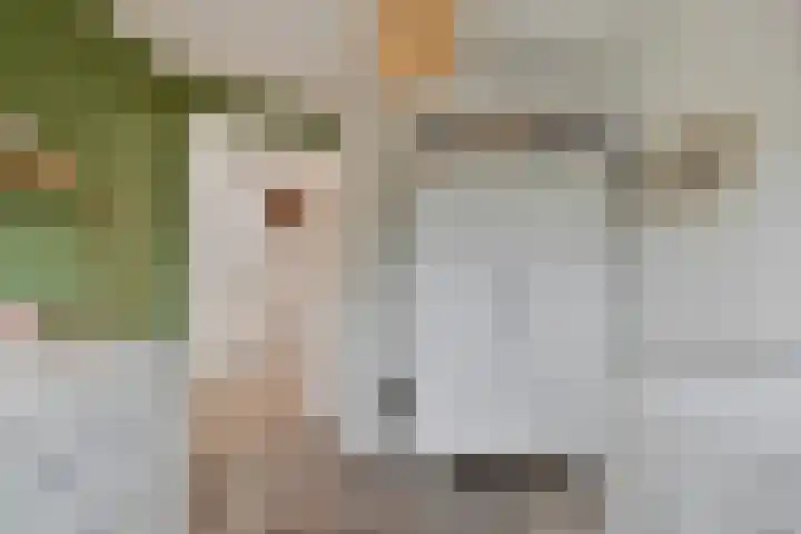 Vennen 31 Dongen thumbnail 31
