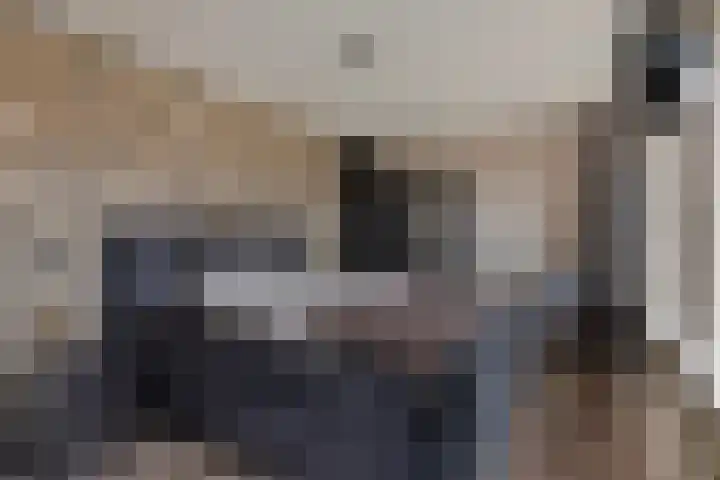 Vennen 31 Dongen thumbnail 4