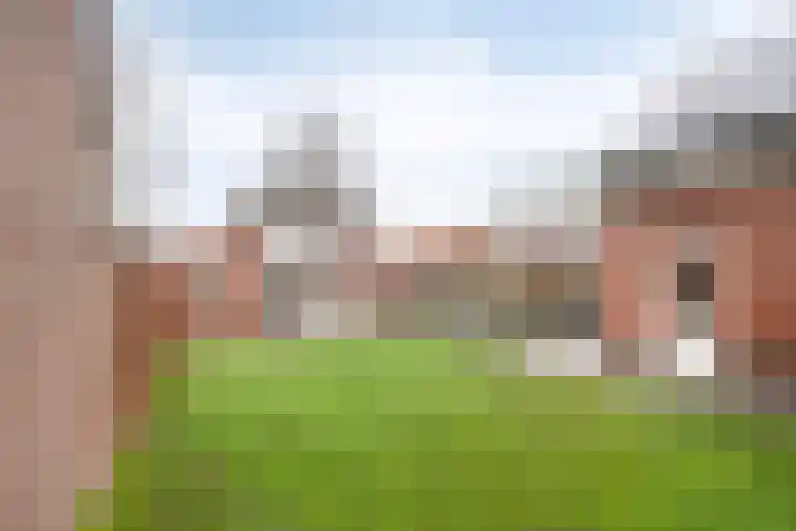 Vennen 31 Dongen thumbnail 43