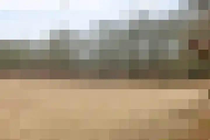 Vennen 31 Dongen thumbnail 50