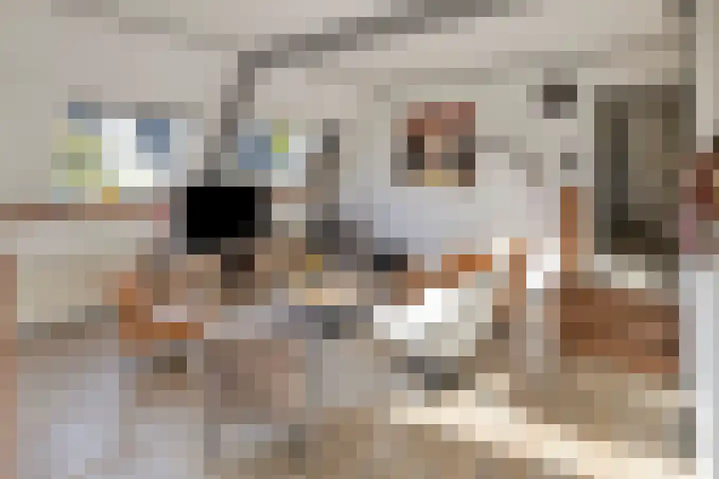 Vennen 5 A Dongen thumbnail 13