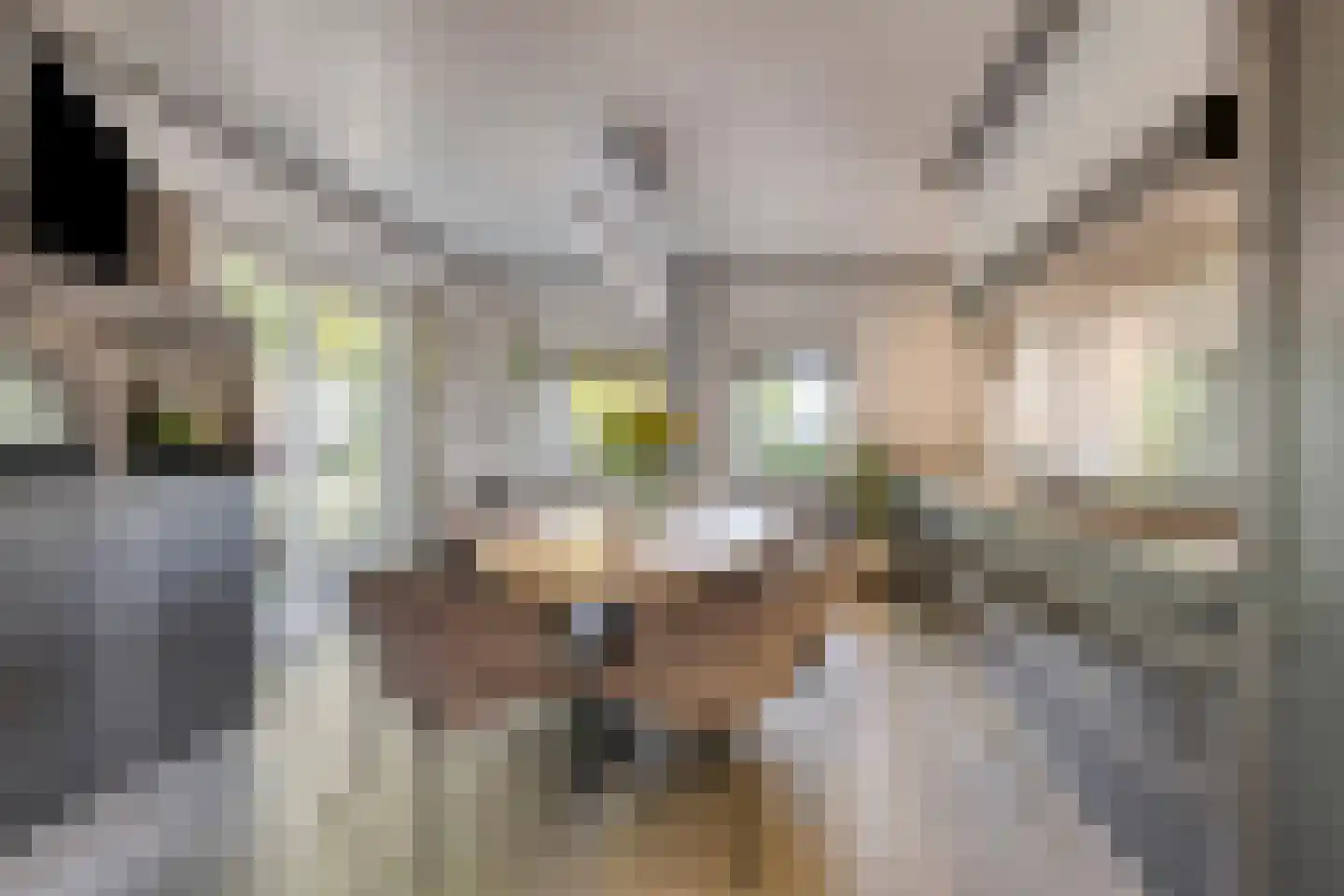 Vennen 5 A Dongen thumbnail 18