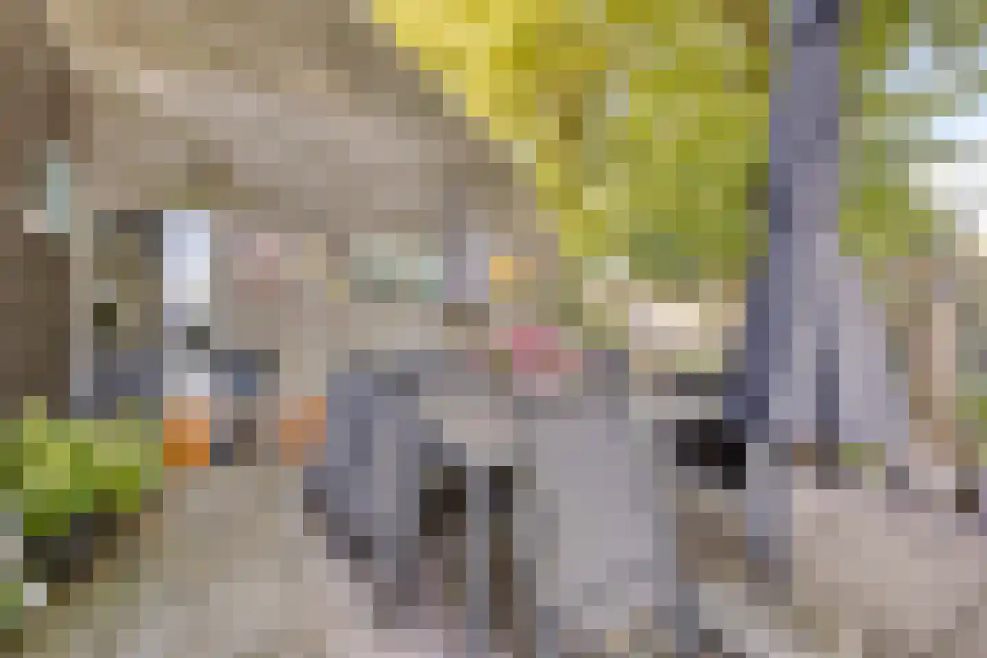 Vennen 5 A Dongen thumbnail 20