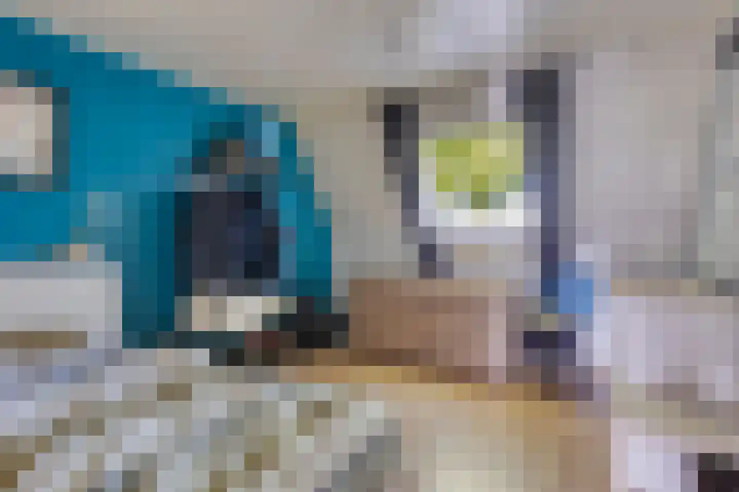 Vennen 5 A Dongen thumbnail 27