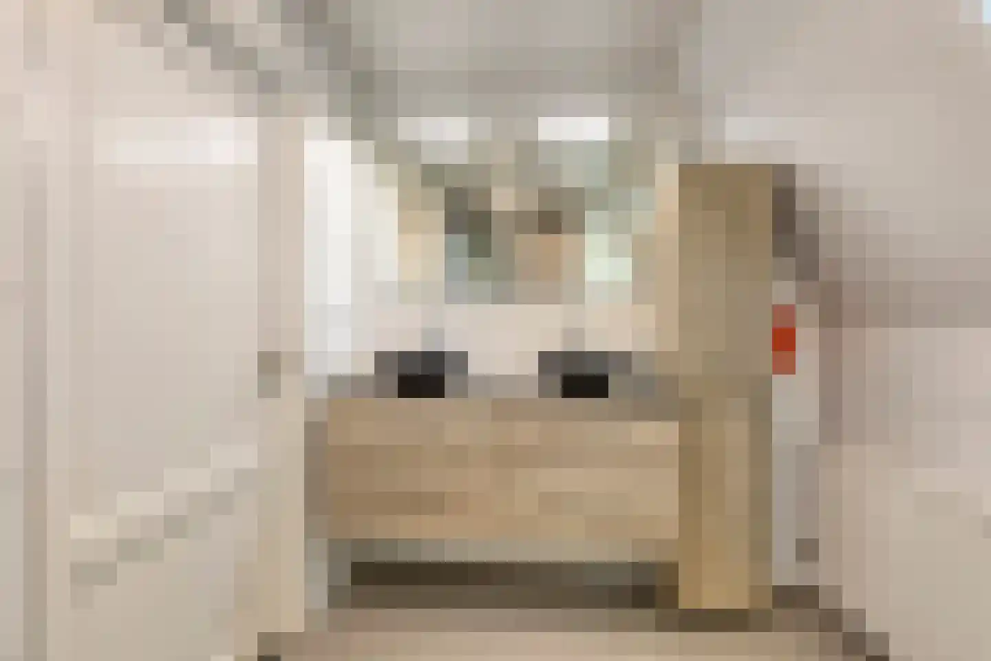 Vennen 5 A Dongen thumbnail 5