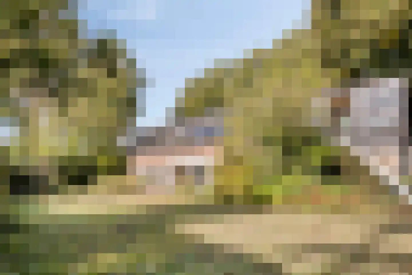 Vennen 5 A Dongen thumbnail 6