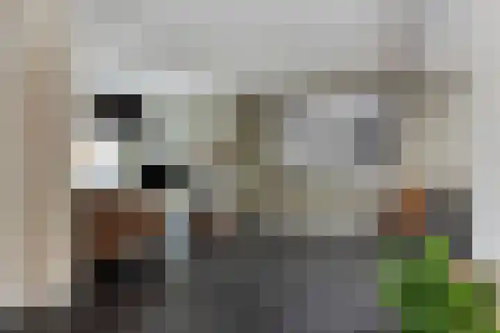 Vennen 64 Dongen thumbnail 12