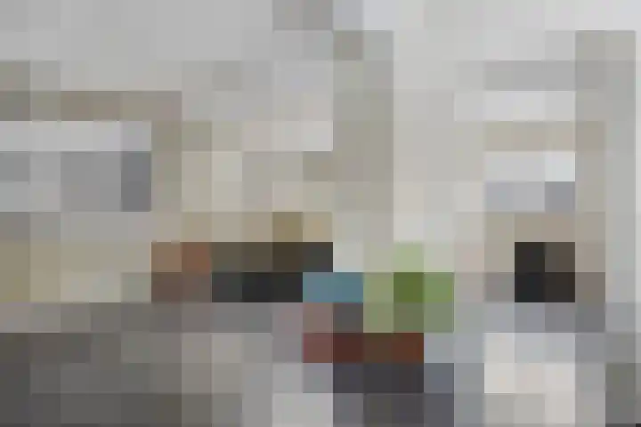 Vennen 64 Dongen thumbnail 13