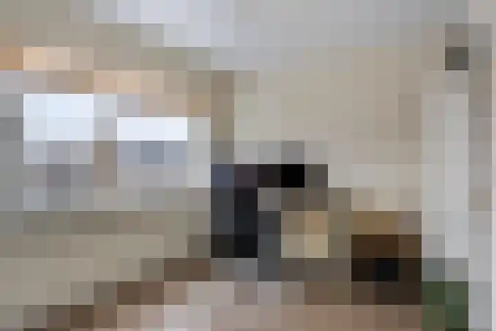 Vennen 64 Dongen thumbnail 20