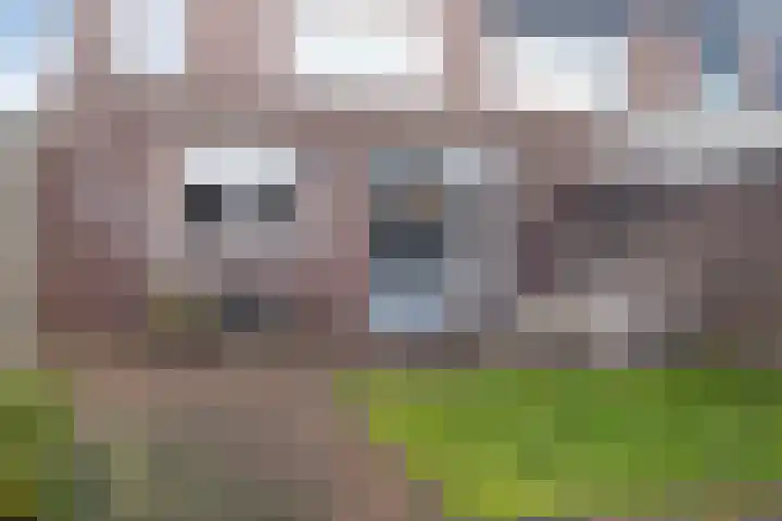 Vennen 64 Dongen thumbnail 24