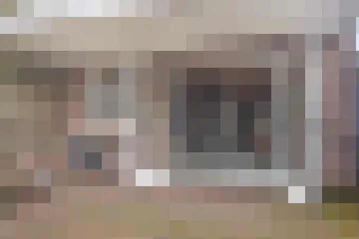 Vennen 64 Dongen thumbnail 28