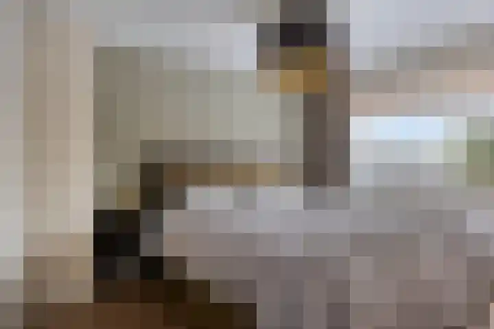 Vennen 64 Dongen thumbnail 4