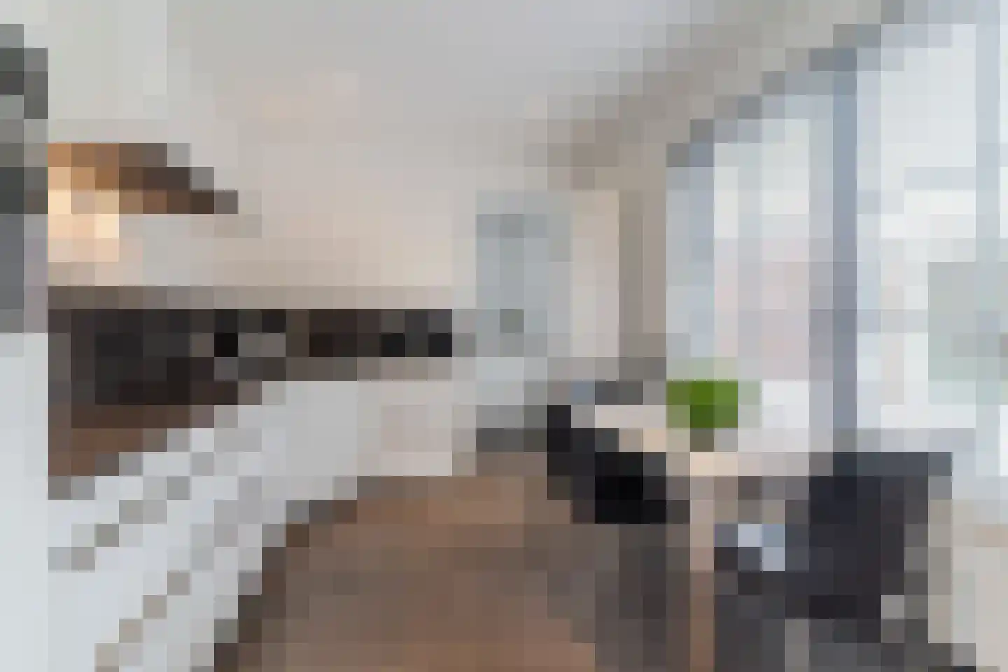 Vennen 73 Dongen thumbnail 23
