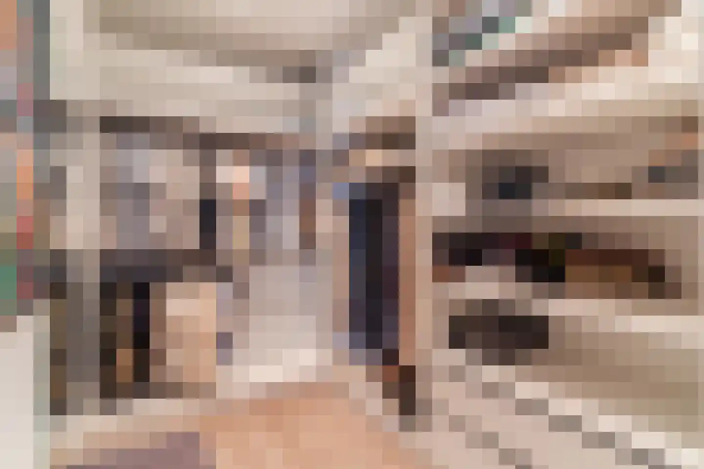 Vennen 73 Dongen thumbnail 31