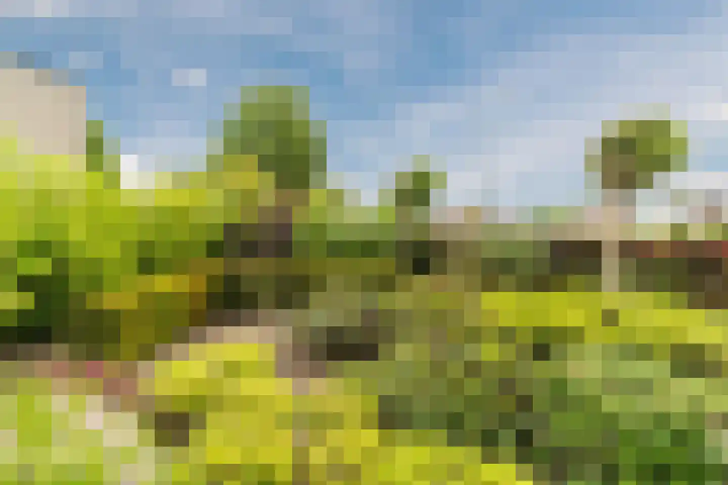 Vennen 73 Dongen thumbnail 64