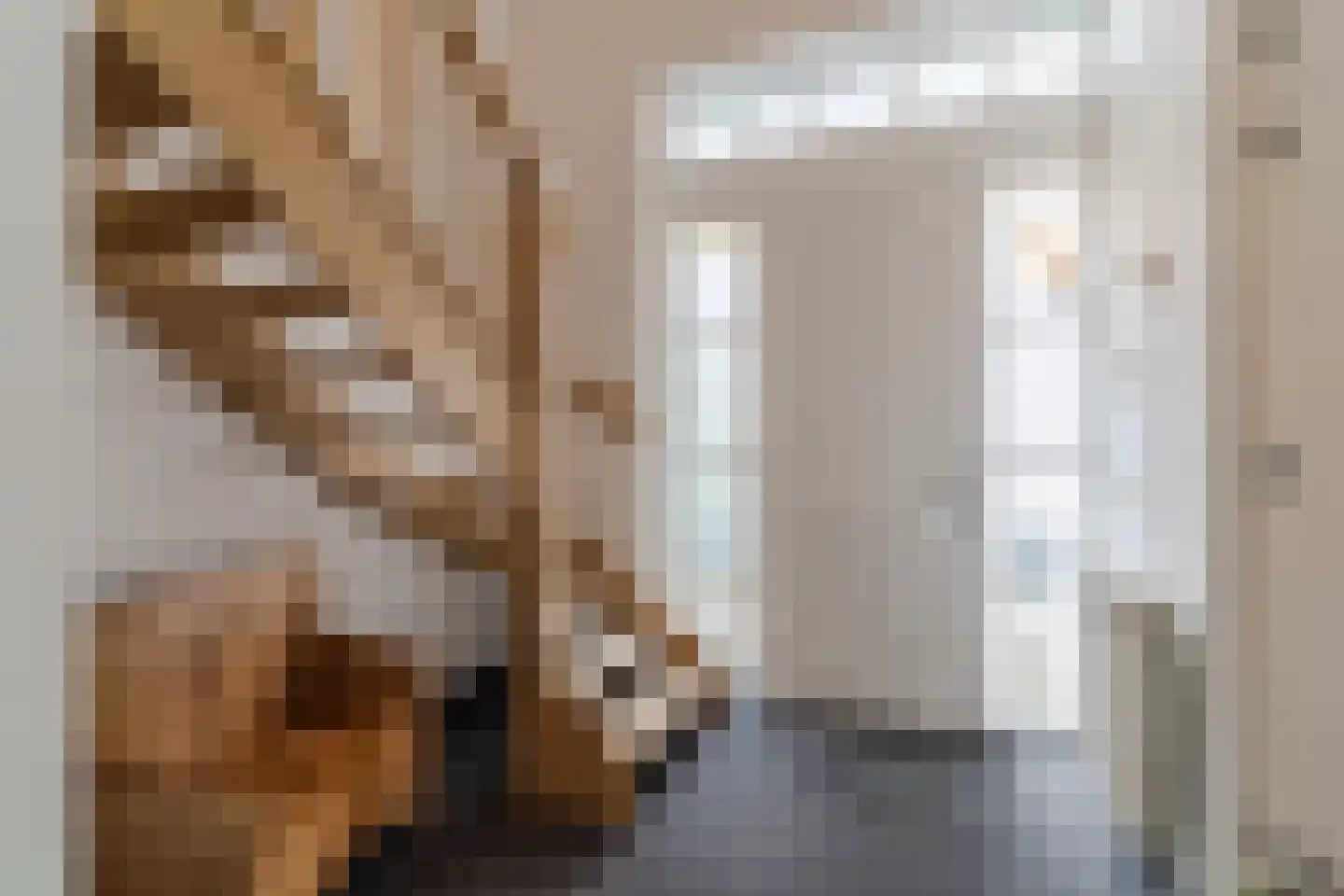 Vennen 73 Dongen thumbnail 7