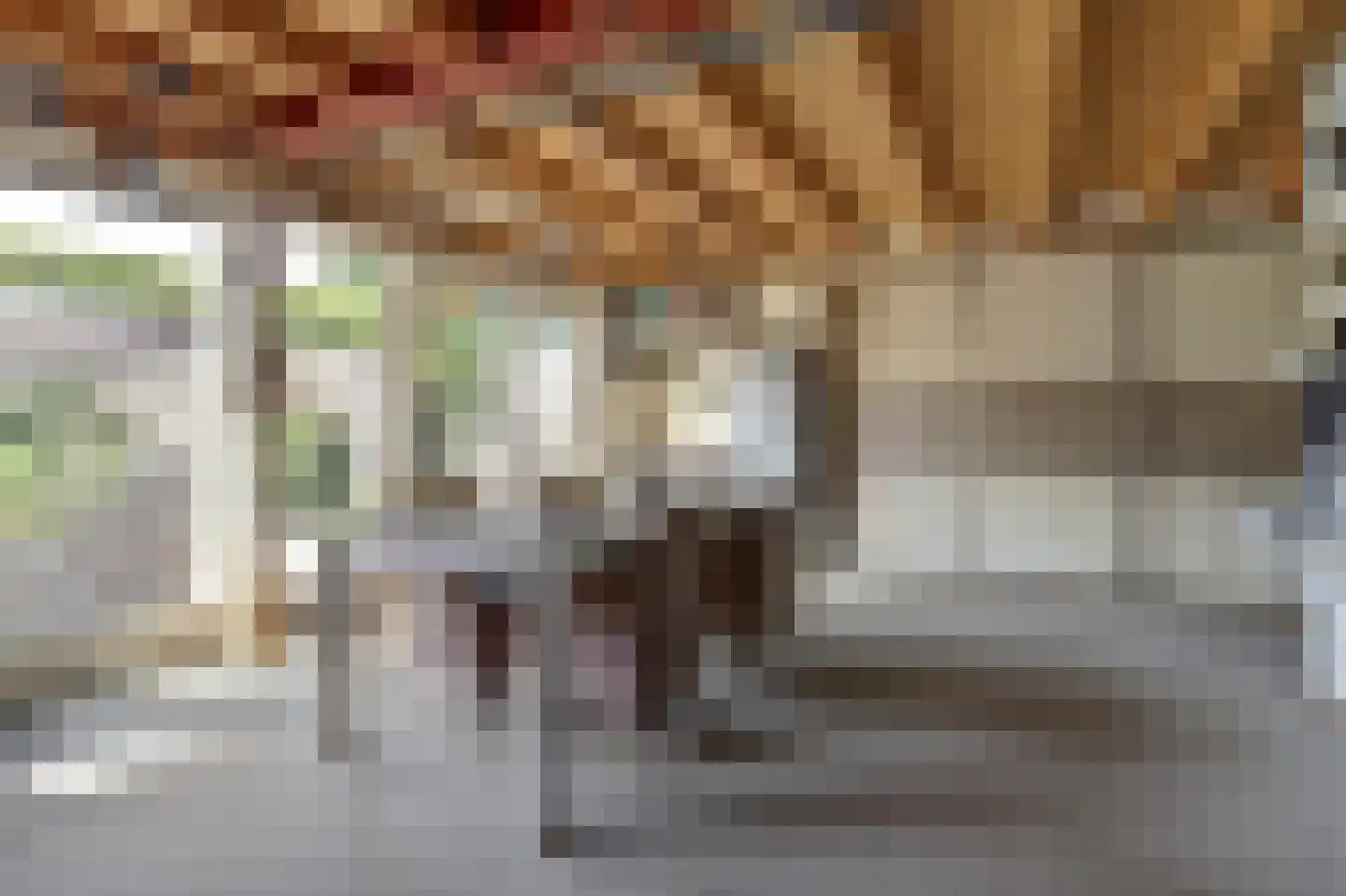 Vennen 74 Dongen thumbnail 33