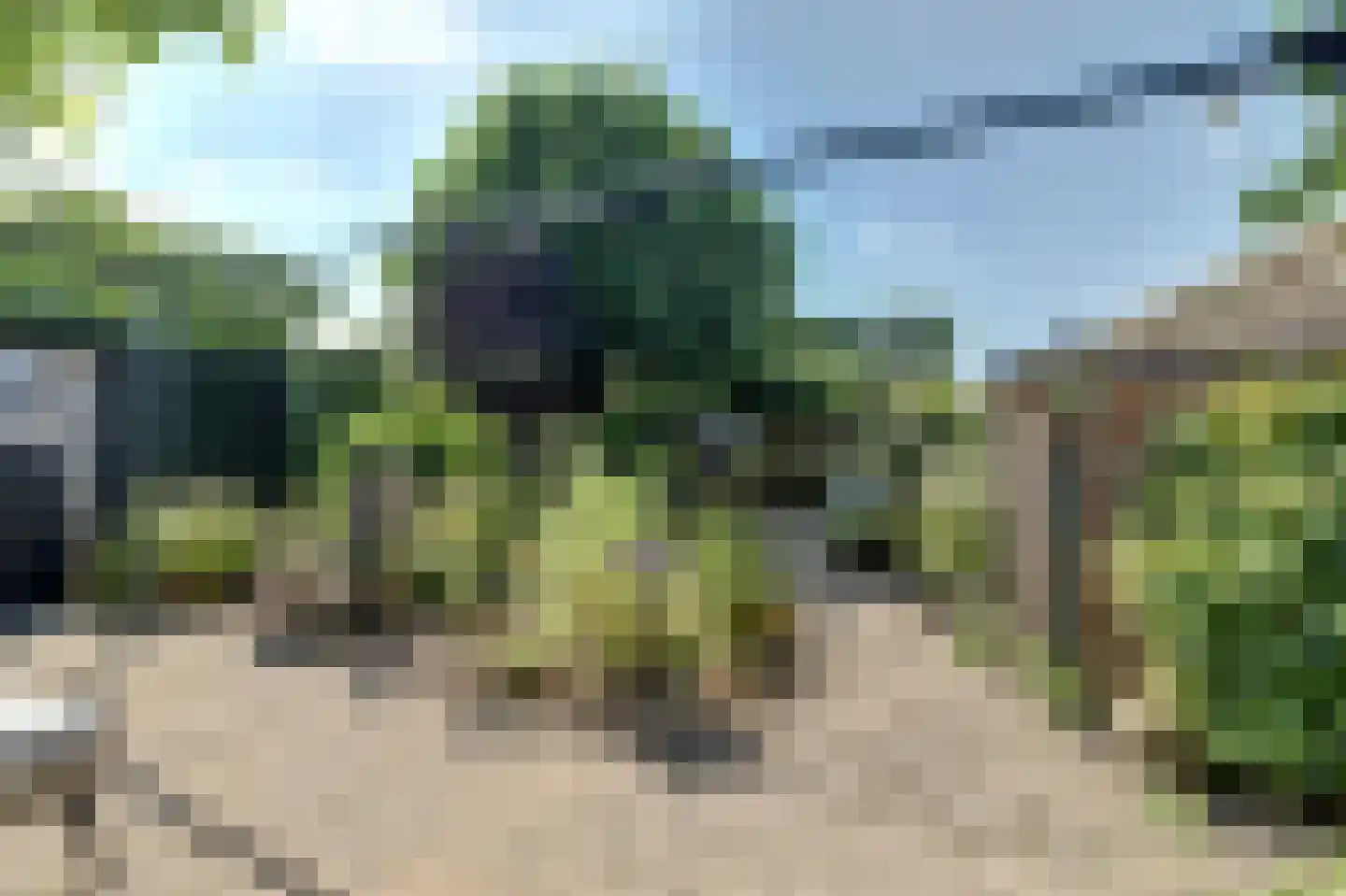 Vennen 74 Dongen thumbnail 37