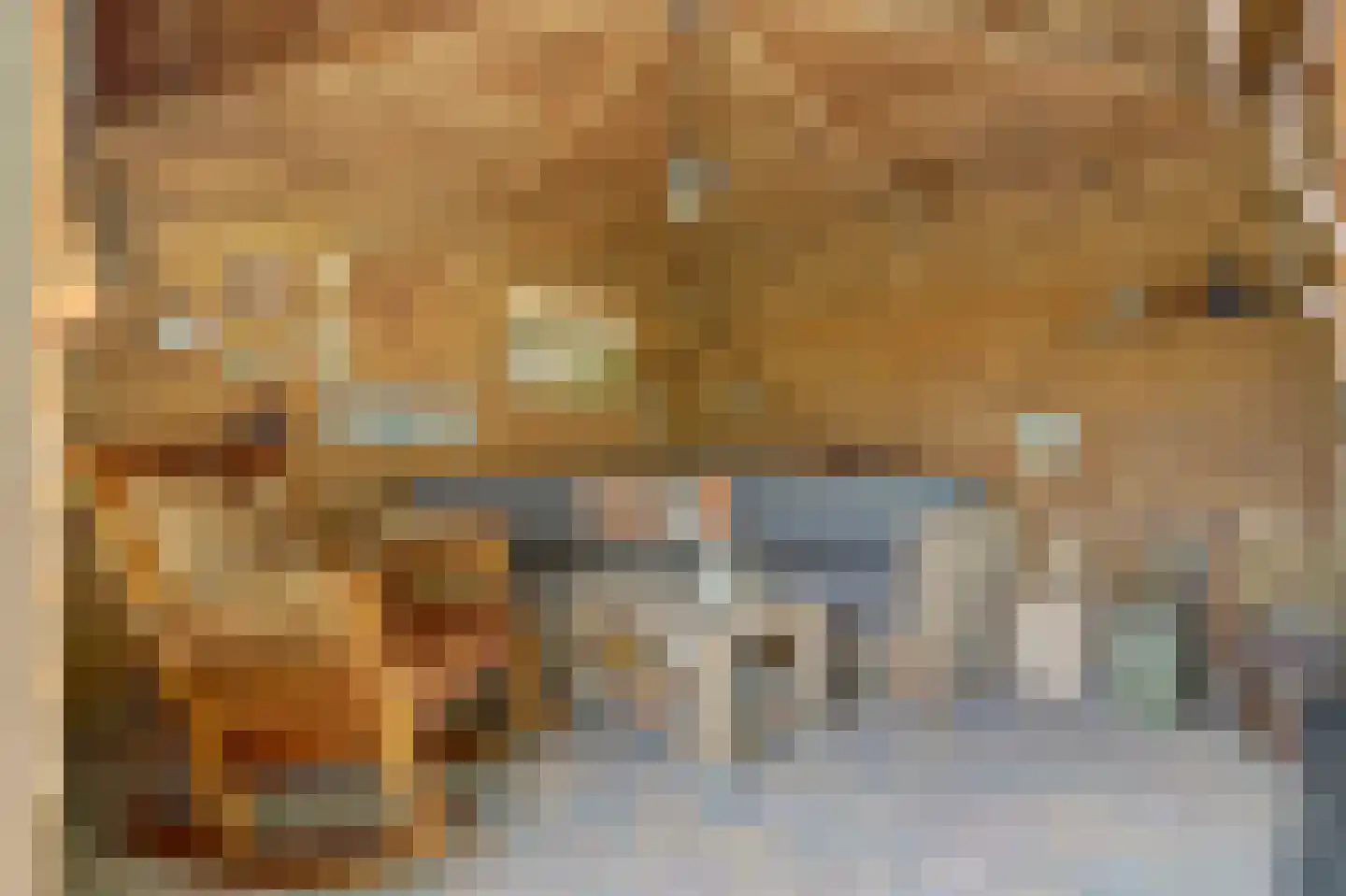Vennen 74 Dongen thumbnail 41