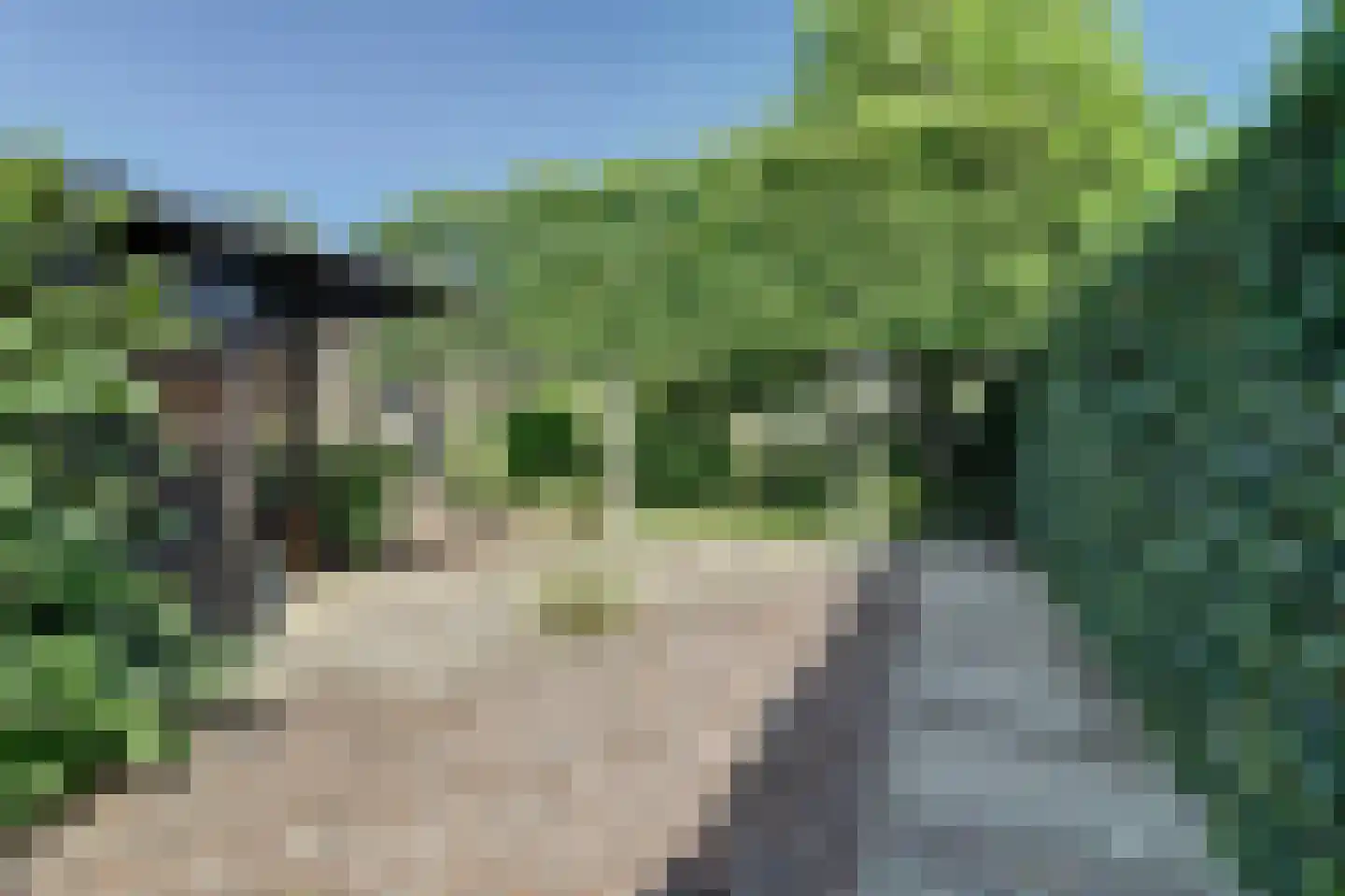 Vennen 74 Dongen thumbnail 42