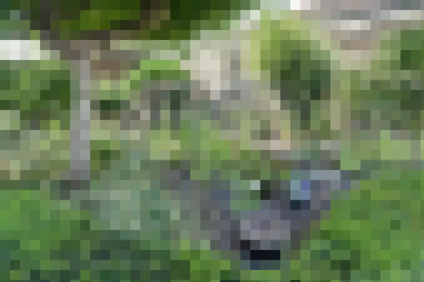 Vennen 74 Dongen thumbnail 43