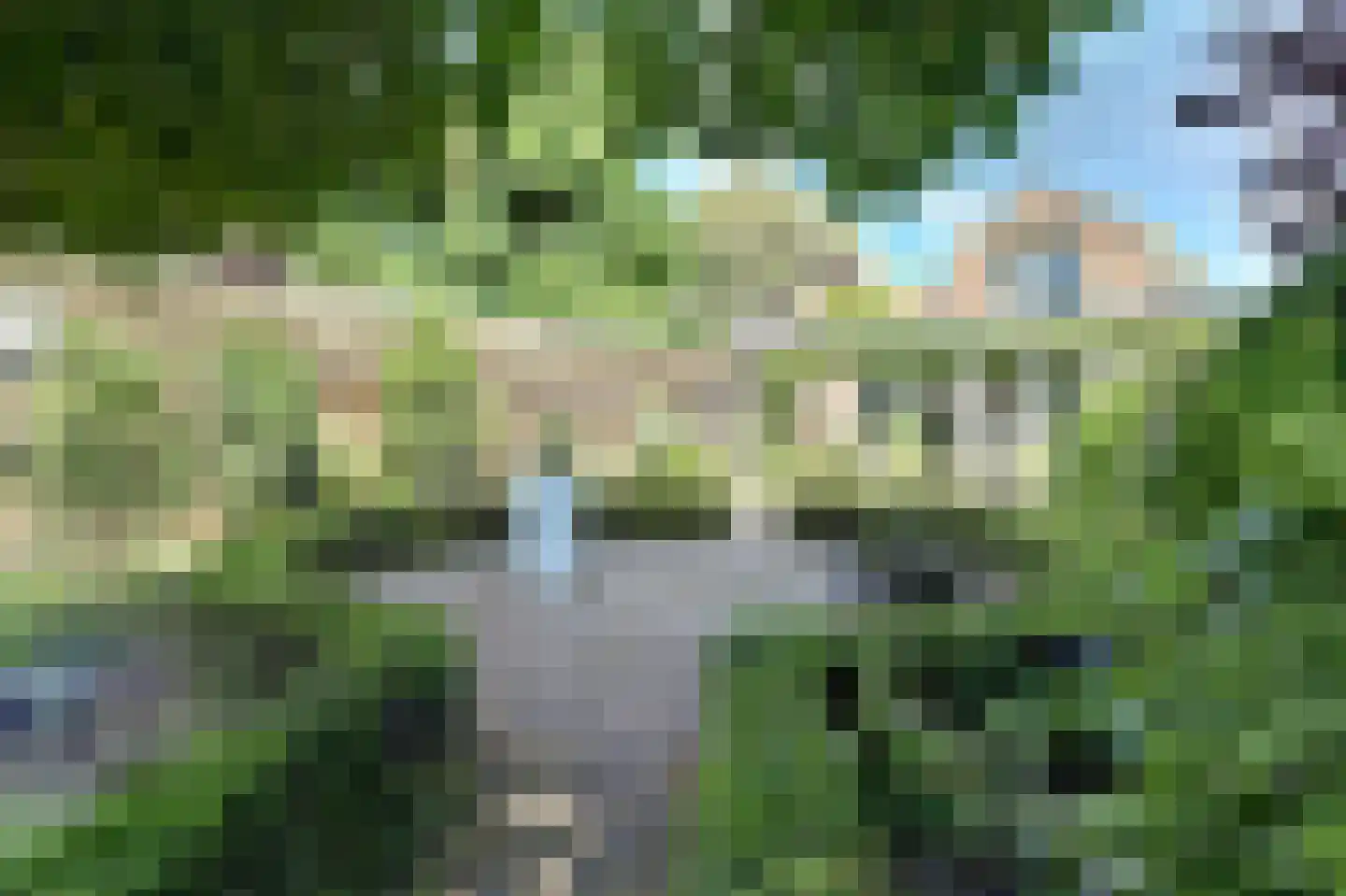 Vennen 74 Dongen thumbnail 5