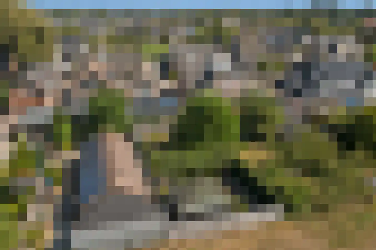 Vennen 74 Dongen thumbnail 6