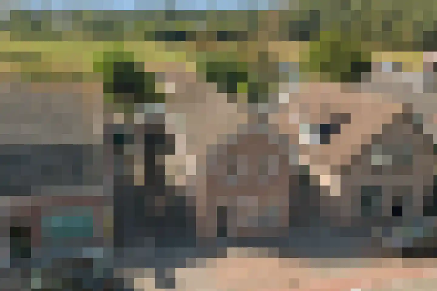 Vennen 74 Dongen thumbnail 9