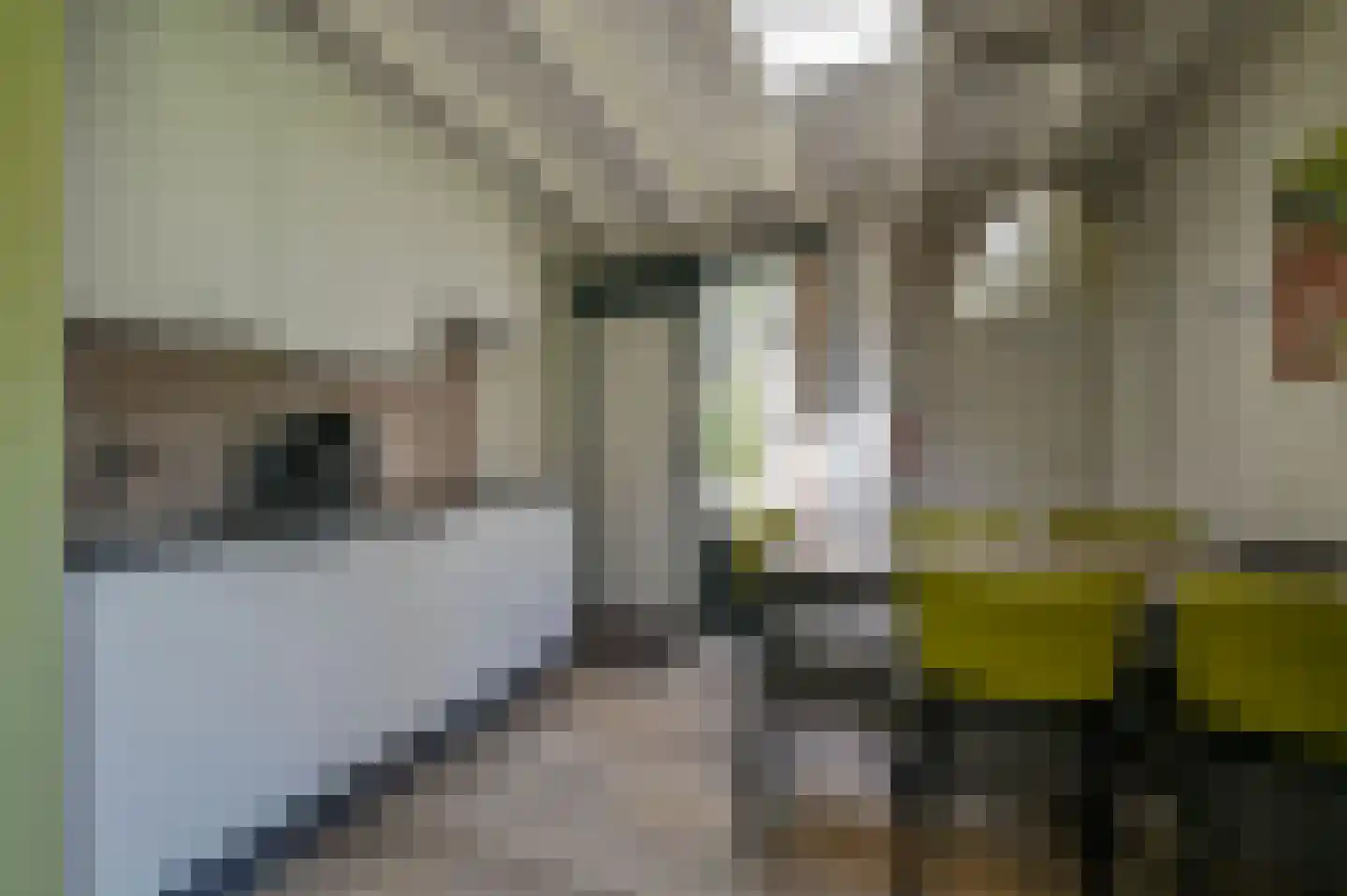 Vennenbos 114 Hapert thumbnail 10