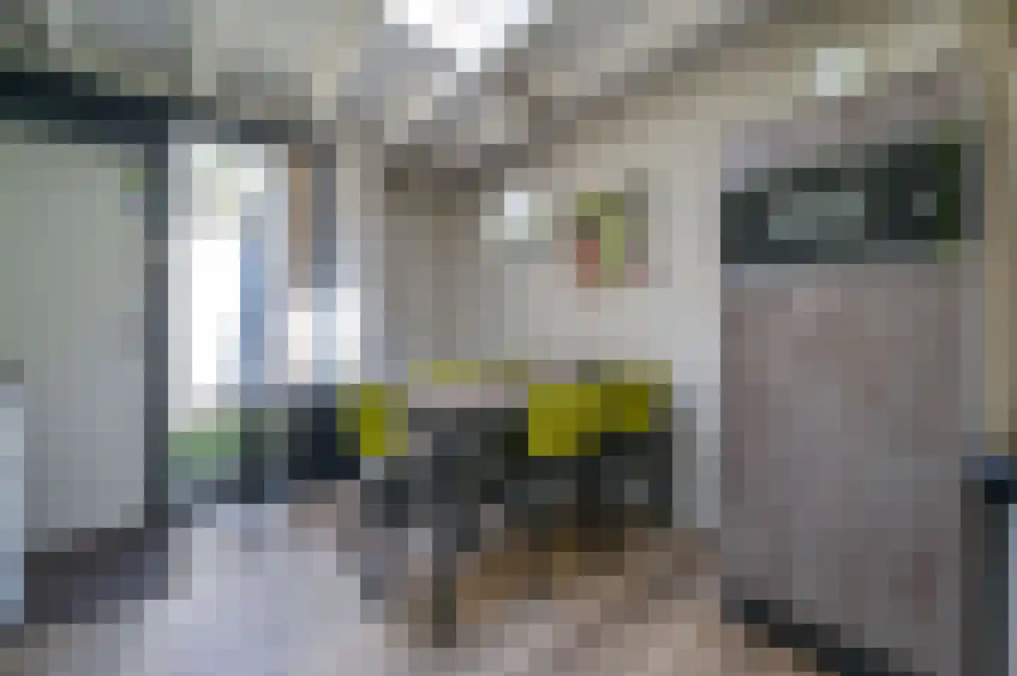 Vennenbos 114 Hapert thumbnail 11