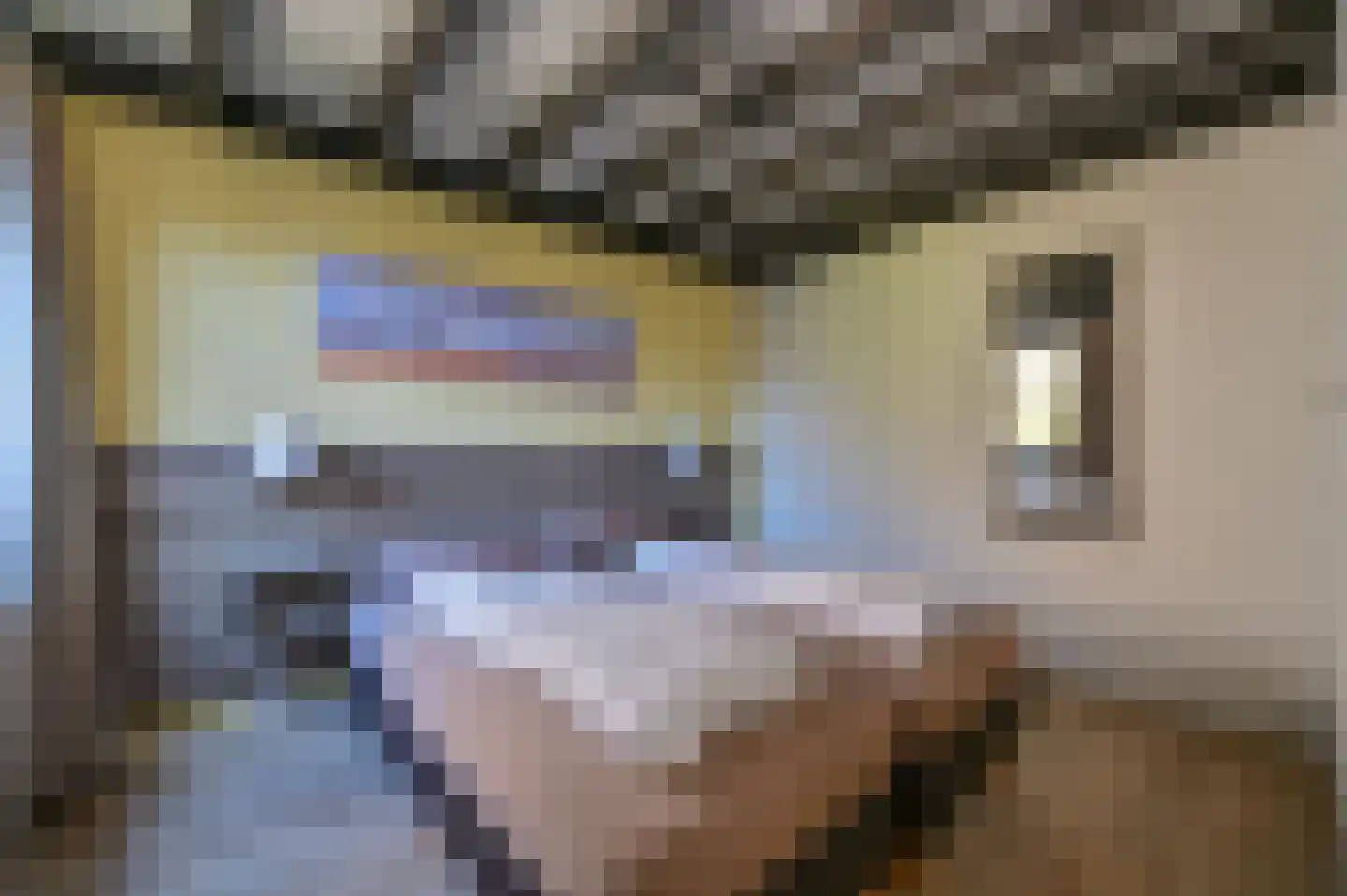 Vennenbos 114 Hapert thumbnail 12