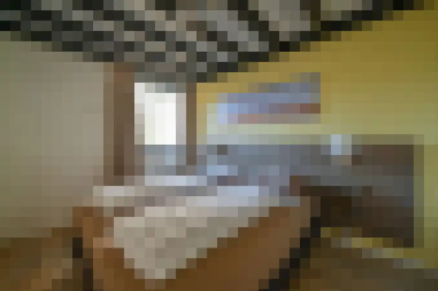 Vennenbos 114 Hapert thumbnail 13