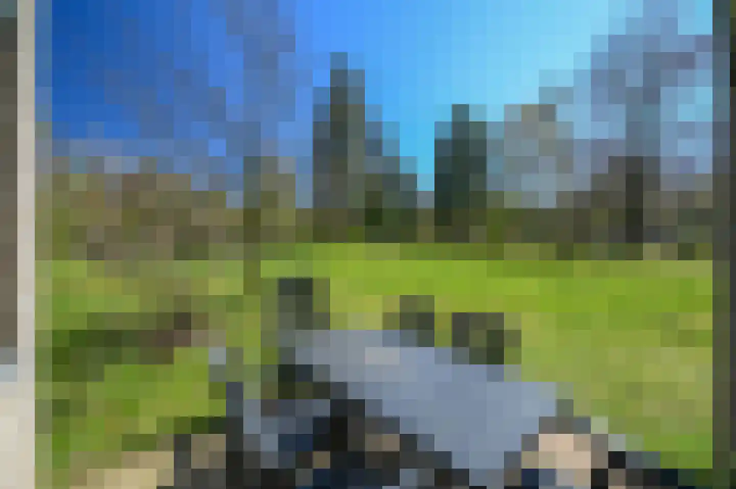 Vennenbos 114 Hapert thumbnail 16