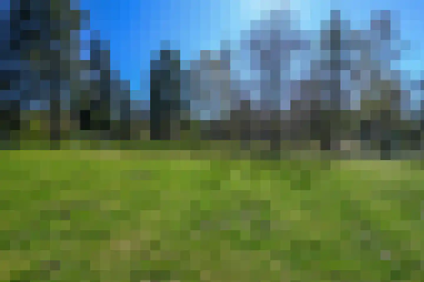 Vennenbos 114 Hapert thumbnail 17