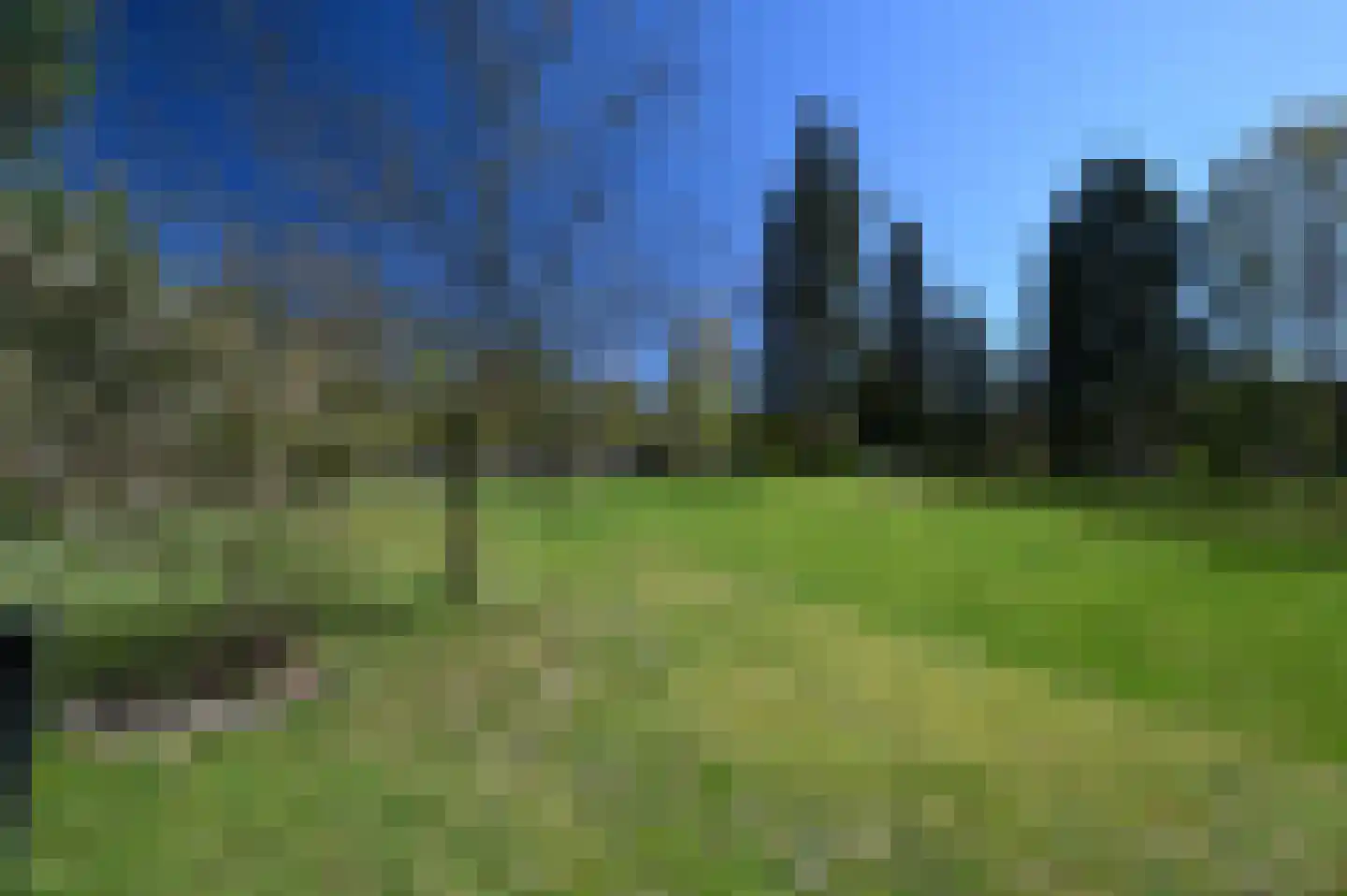 Vennenbos 114 Hapert thumbnail 19