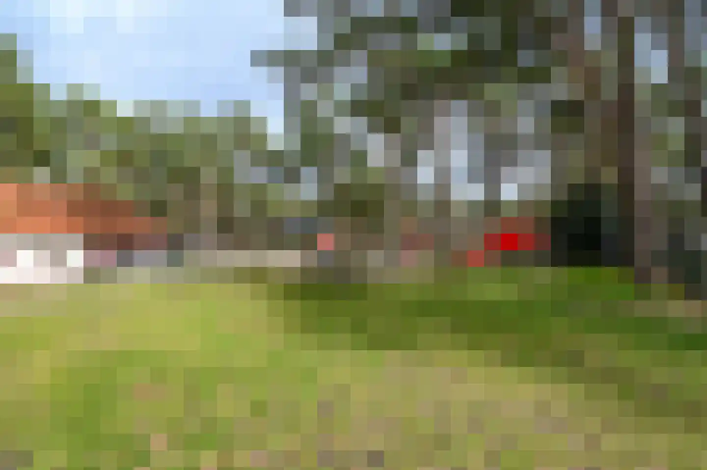 Vennenbos 114 Hapert thumbnail 20