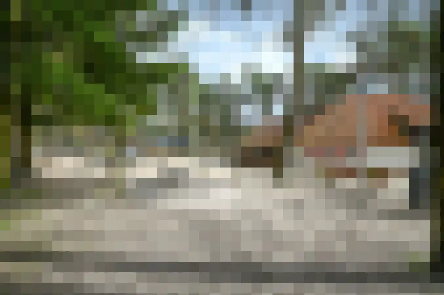 Vennenbos 114 Hapert thumbnail 21
