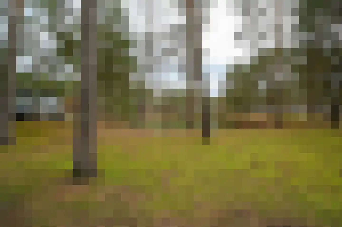 Vennenbos 114 Hapert thumbnail 24