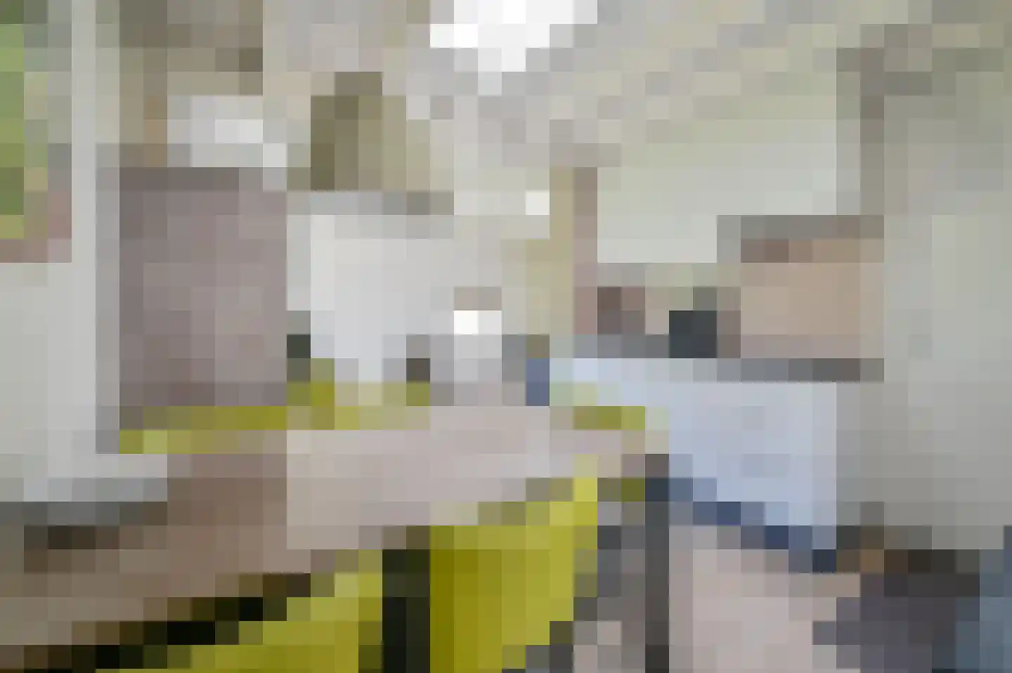 Vennenbos 114 Hapert thumbnail 8